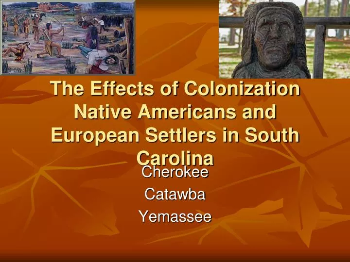 the effects of colonization native americans and european settlers in south carolina