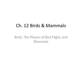 Ch. 12 Birds &amp; Mammals