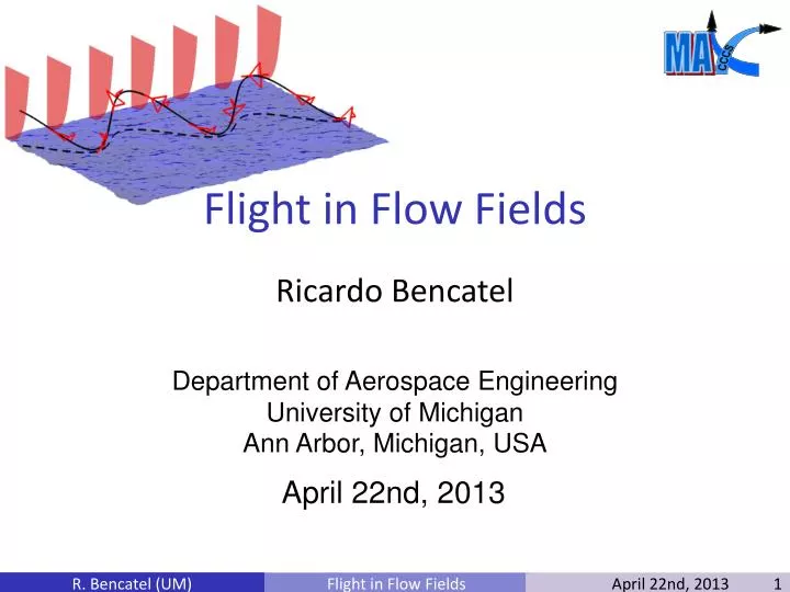 flight in flow fields