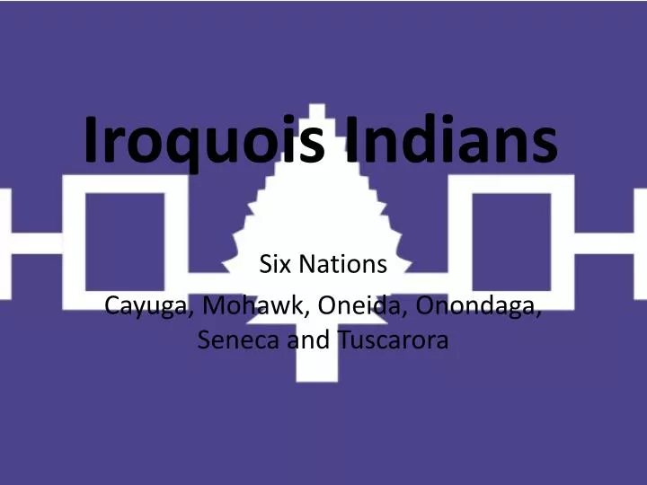 iroquois indians