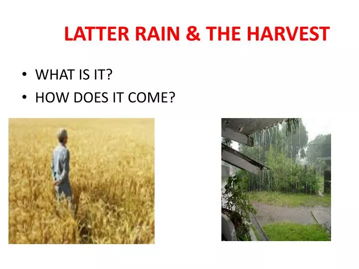 latter rain the harvest