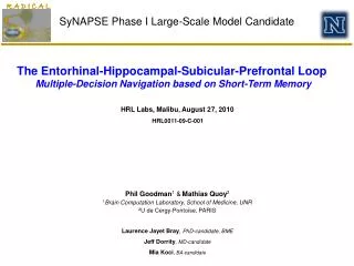 SyNAPSE Phase I Large-Scale Model Candidate