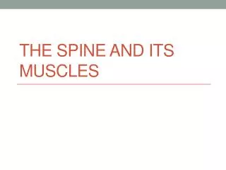 The Spine and Its Muscles