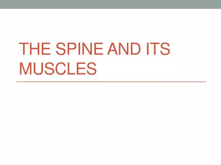 the spine and its muscles
