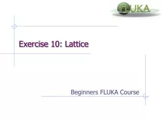 Exercise 10: Lattice