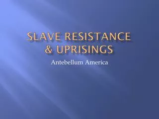 Slave Resistance &amp; Uprisings