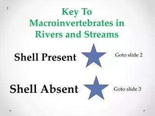 Key To Macroinvertebrates in Rivers and Streams