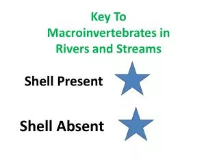 Key To Macroinvertebrates in Rivers and Streams