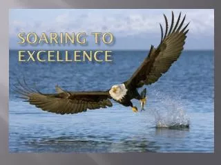 Soaring to Excellence