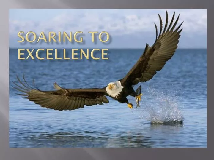 soaring to excellence