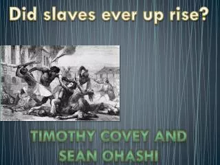 Did slaves ever up rise?