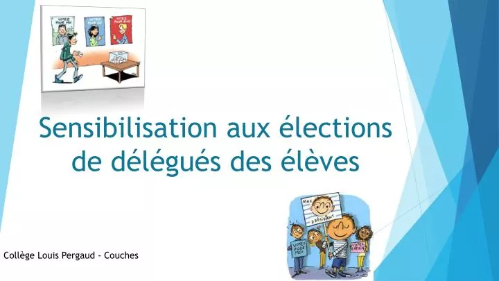 sensibilisation aux lections de d l gu s des l ves