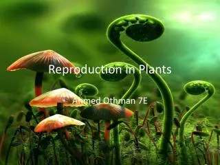 Reproduction in Plants