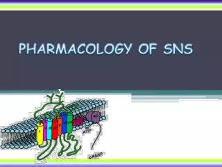 PHARMACOLOGY OF SNS