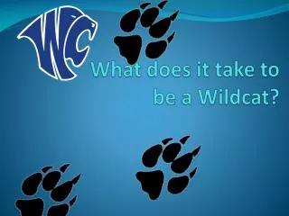 What does it take to be a Wildcat?