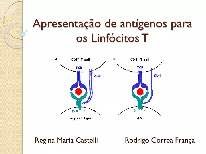 apresenta o de ant genos para os linf citos t
