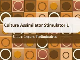 Culture Assimilator Stimulator 1