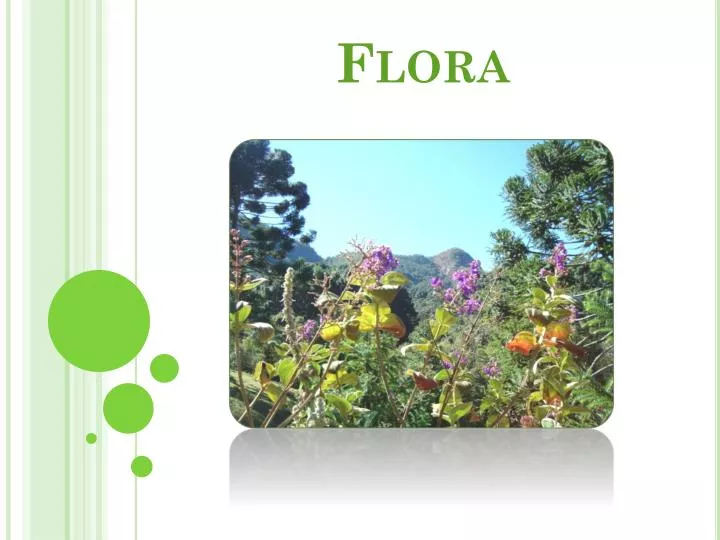 flora