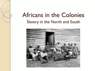 Africans in the Colonies