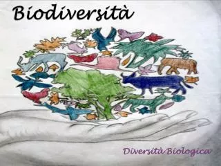 biodiversit
