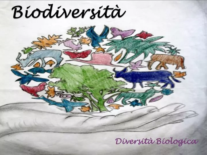 biodiversit