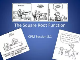 The Square Root Function