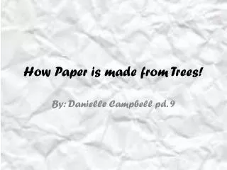 How Paper is made from Trees!