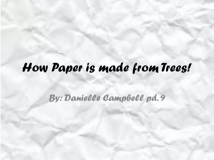 how paper is made from trees