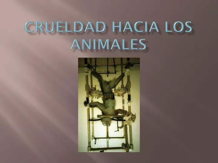 crueldad hacia los animales