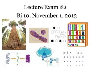 Lecture Exam #2