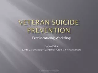 Veteran Suicide Prevention