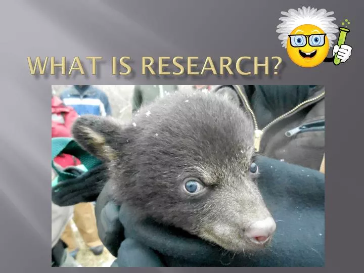 what is research