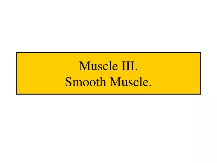 muscle iii smooth muscle
