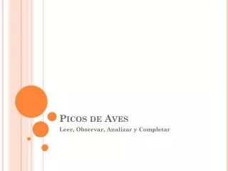picos de aves