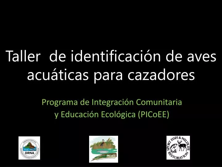 taller de identificaci n de aves acu ticas para cazadores