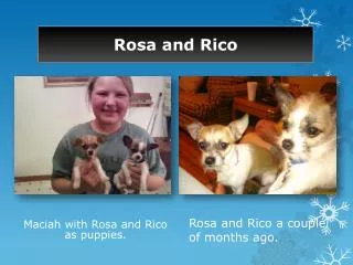 Rosa and Rico
