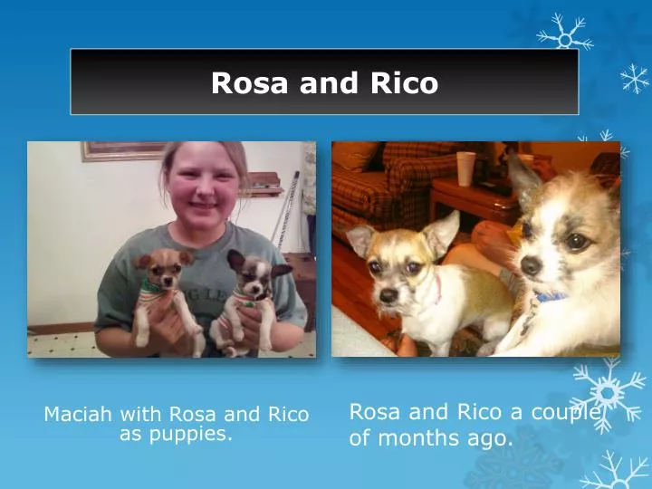 rosa and rico