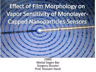 Effect of Film Morphology on Vapor Sensitivity of Monolayer-Capped Nanoparticles Sensors