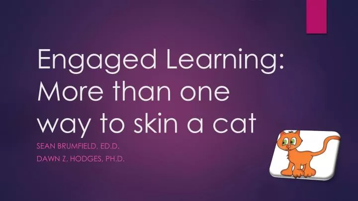 engaged learning more than one way to skin a cat