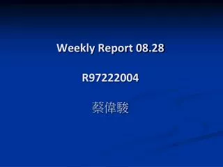 Weekly Report 08.28 R97222004 ???
