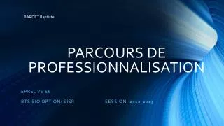 parcours de professionnalisation