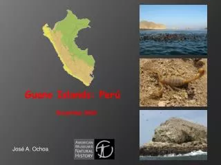 Guano Islands: Perú