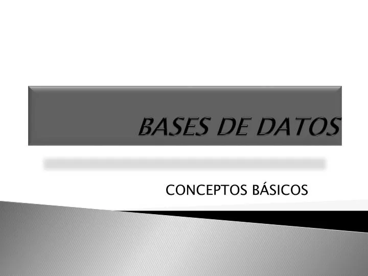 bases de datos