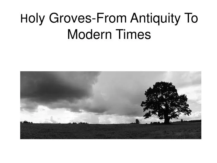 h oly groves from antiquity to modern times