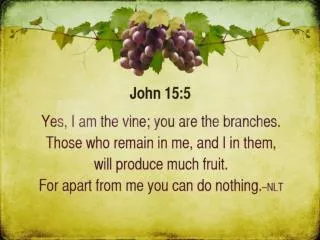 Growth in the Vineyard John 15:1-8, 16-17