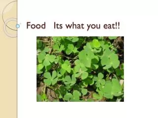 food its what you eat