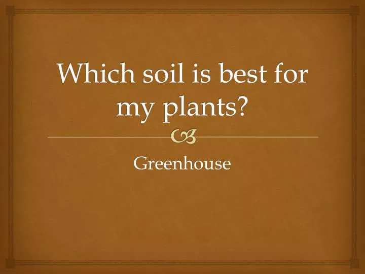 which soil is best for my plants