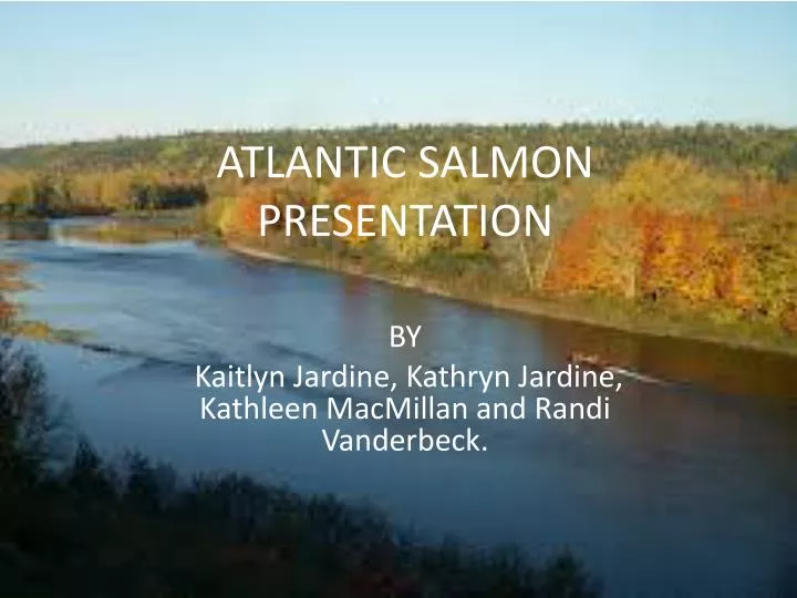 atlantic salmon presentation