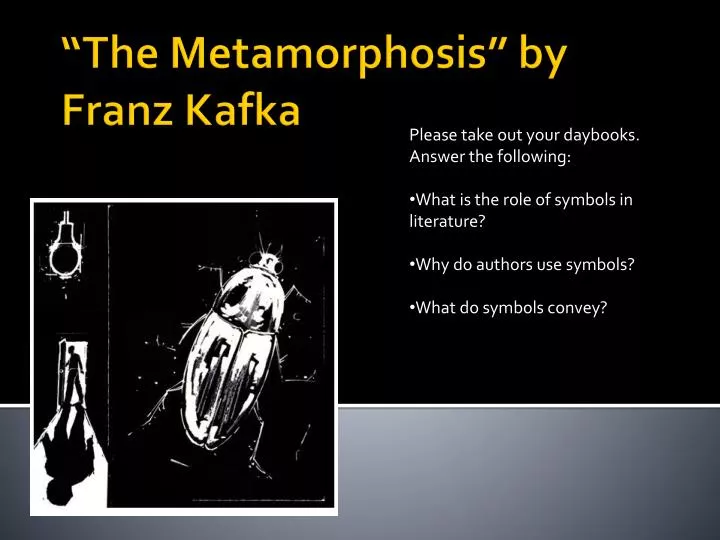 the metamorphosis by franz kafka