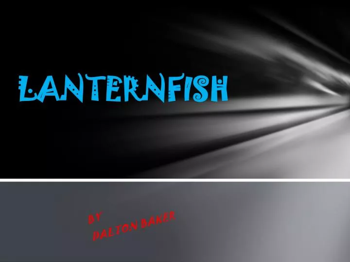 lanternfish